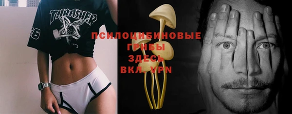 ПСИЛОЦИБИНОВЫЕ ГРИБЫ Арсеньев