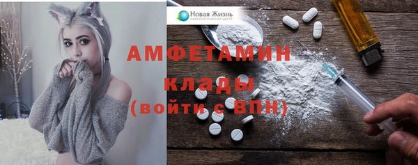 ПСИЛОЦИБИНОВЫЕ ГРИБЫ Арсеньев