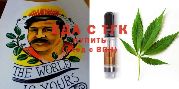 индика Алексин