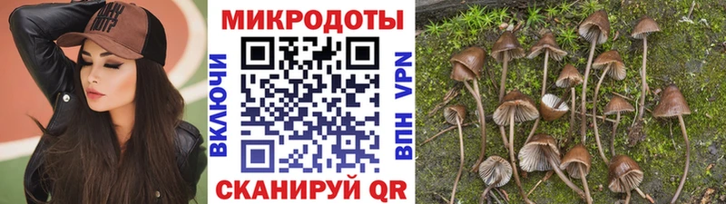 маркетплейс официальный сайт  Петухово  Галлюциногенные грибы ЛСД  что такое наркотик 